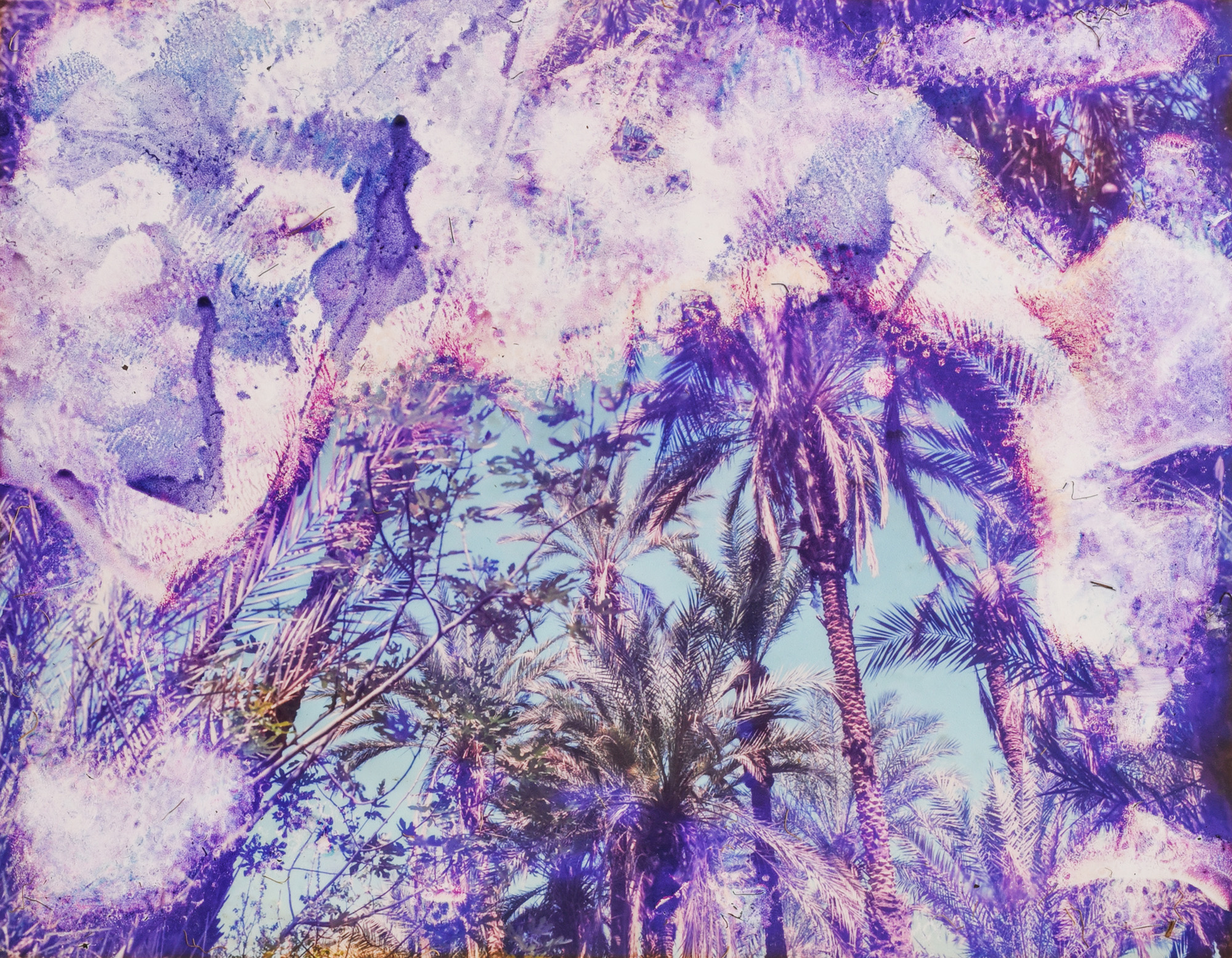 "WAH'A واحة_"